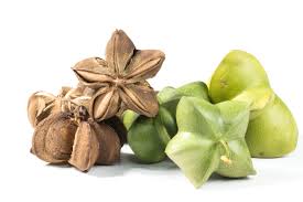 Sacha Inchi - Orgánica Perú SAC